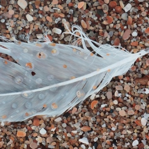  Small feather on the sand painting by wildlife artist Laurence Saunois