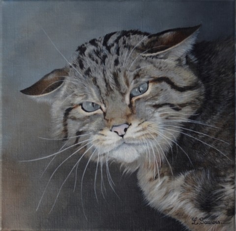 European wildcat portrait painting by wildlife artist Laurence Saunois