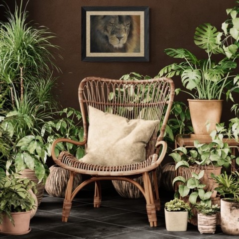 Lion portrait painting wall art decor in a setting above a rattan armchair with plants by wildlife artist Laurence Saunois