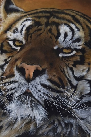 Tiger painting by Laurence Saunois, animal artist