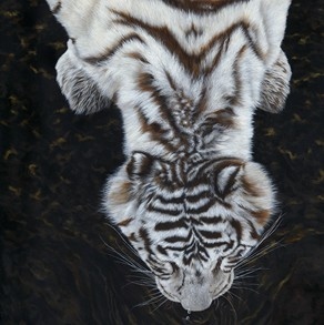 Peinture de tigre blanc vue du dessus par la peintre animalier Laurence Saunois