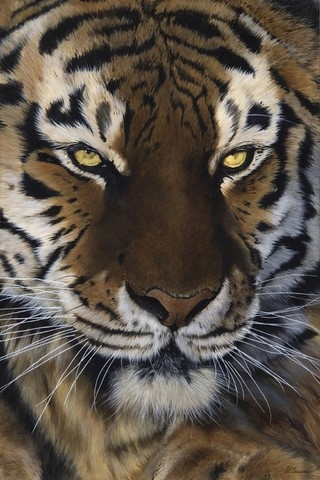 Big cats painting by Laurence Saunois, wildlife artist