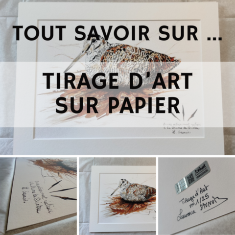 Tout savoir sur la préparation des tirages d'art sur papier - laurence saunois, artiste