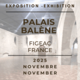 Exposition de Nympheus Lumnansis à Figeac, artiste Laurence Saunois