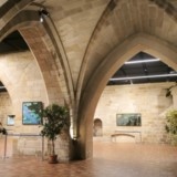 Exposition de Nympheus Luminansis à Figeac, artiste Laurence Saunois