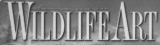 Logo Wildlife Art Magazine
