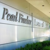 Exposition Nympheus Luminansis- PEARL FINCHER MUSEUM OF FINE ARTS